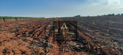 Imagem 13 de 16 de Excelente Fazenda Para Venda Na Cidade De Tatuí - Sp - Confira!!!! - Fa0047