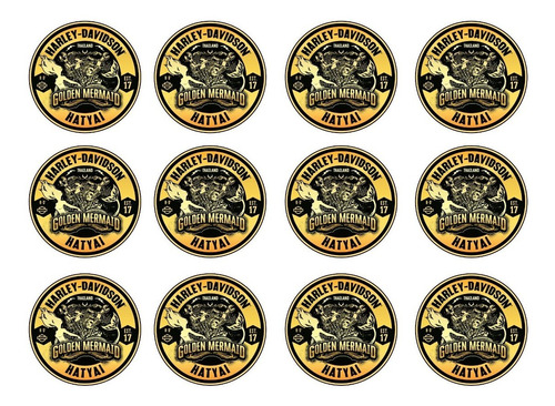 Patch Estampado Harley-davidson, Termocolante, Símbolos