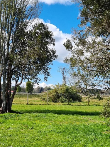 Casa Con Vista Volcán En Loteo Lagunita Frutillar