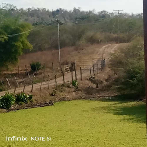 Imagen 2 de 14 de Venta De Finca, Vía Altagracia De Orituco, Att Eb- Ln