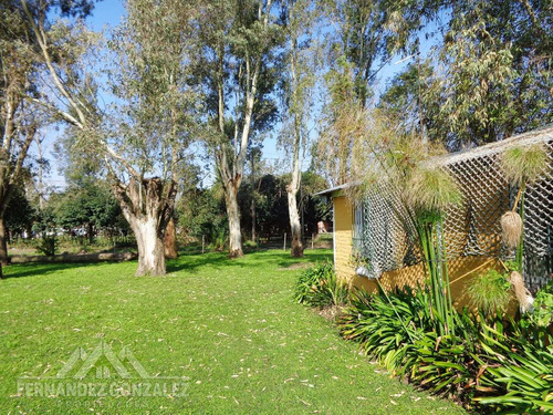 Venta Casa Quinta De 12.000 M2 En Paraje La Capilla. Varela