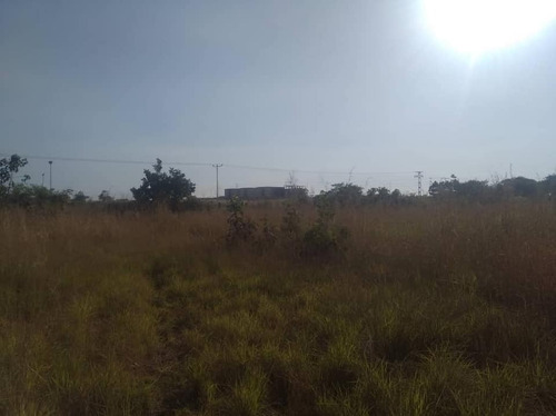 Fany Villasmil Vende Terreno En Cojedes Sector Cascabel