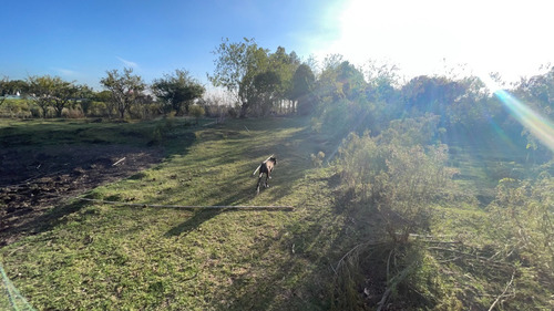 Venta Campo De 5has Casa De Material Sobre Ruta 33, Entrega Y Cuotas