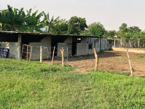 José Herrera Vende Mini Finca En La Entrada De Nirgua Estado Yaracuy. (plf-005)