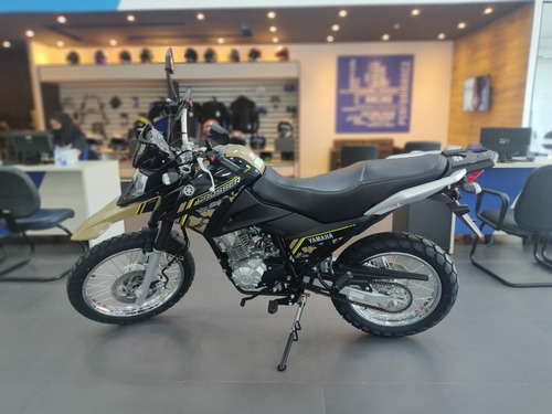 Imagem 9 de 9 de Yamaha Xtz 150 Abs Crosser Z Bege