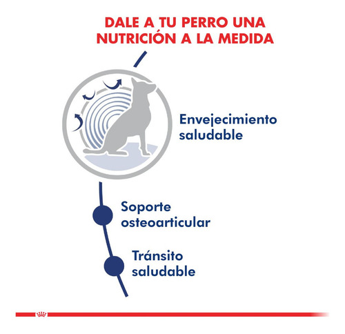 Alimento Royal Canin Maxi Ageing 8+ Size Health Nutrition