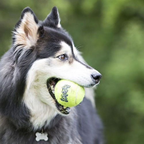 Imagen 4 de 9 de Kong Squeak Air Ball Con Soga Juguete Perros Pelota-