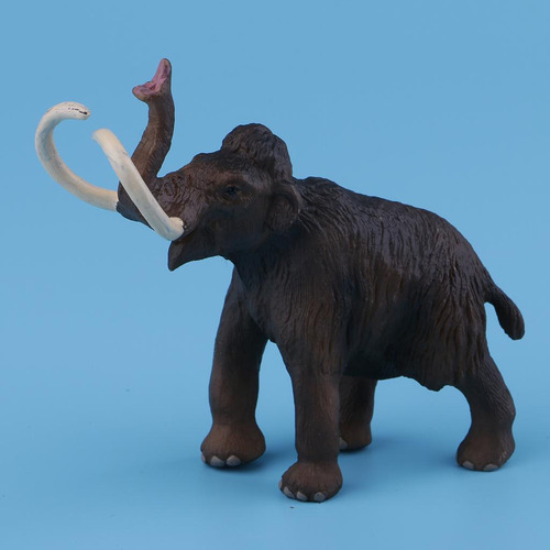 Modelo De Animal Juguete Educativo Juguetes Juegos Primera