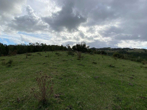 Campo 40ha Equipado / Hermosa Vista A Estación Rio Frio