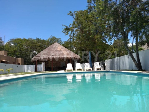 Imagen 6 de 8 de Terreno En Venta Precio De Oportunidad, Playa Del Carmen P3113