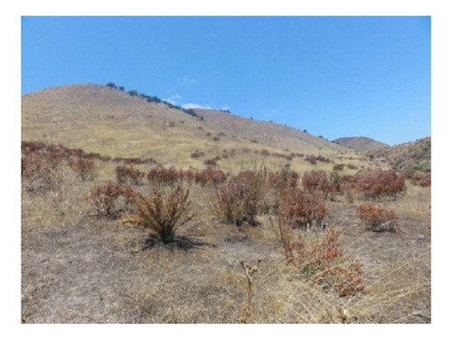 Imagen 2 de 7 de Terreno Venta Tijuana En El Aguaje En Valle Redondo