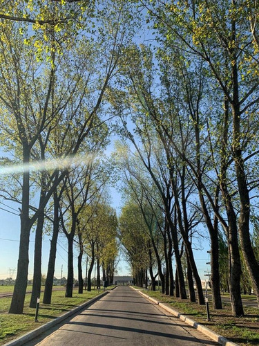 Imagen 8 de 23 de Oportunidad!! Lote - La Alameda Etapa 2