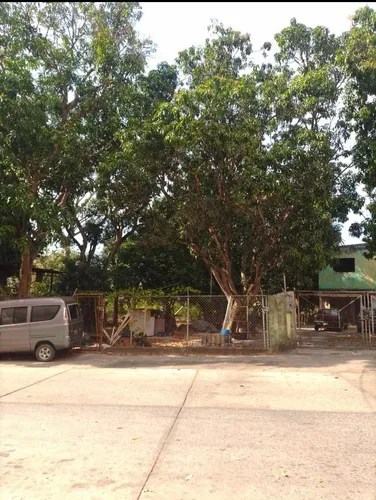 Vende Terreno Monte Alegre. M.c.