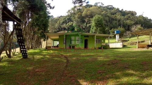 Imagem 17 de 20 de Sítio À Venda Em Juquitiba Sp Medindo 48000m² Ref 1002