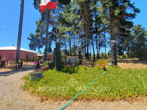 Algarrobo, Bosque De Algarrobo Parcela 100% Plana
