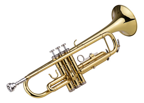 Trompete Slade Em Sib Dourado Laqueado Com Estojo De Luxo
