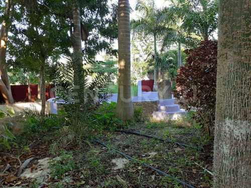 Rancho Tipo Hacienda De 36 Has En Telchac Pueblo Con Cenote. A 42 Kms De Mérida