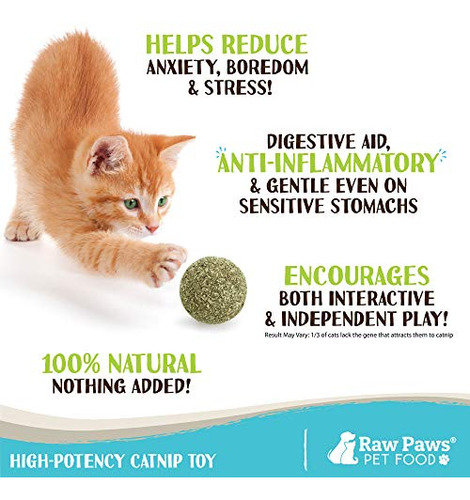 Pelota De Catnip Natural Para Gatos - Juguete Interactivo