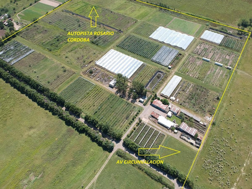 Imagen 3 de 4 de Venta / Permuta - Campo - Rosario