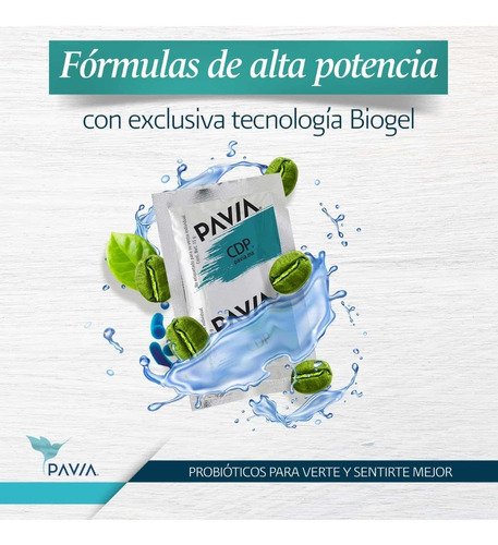 Prebióticos/probióticos PAVIA CDP suplemento em gel com sabor de café verde em um pacote de sachê de 420g x 30 u
