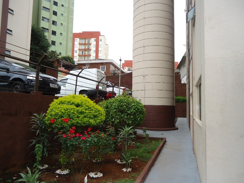 Imagem 2 de 10 de Apartamento A Venda No Cangaíba, São Paulo - V3174 - 32602846