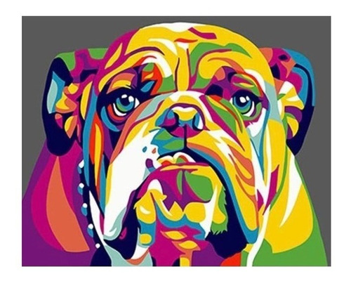 Pintura X Números Bulldog Inglés A Color - Pinta Tu Cuadro