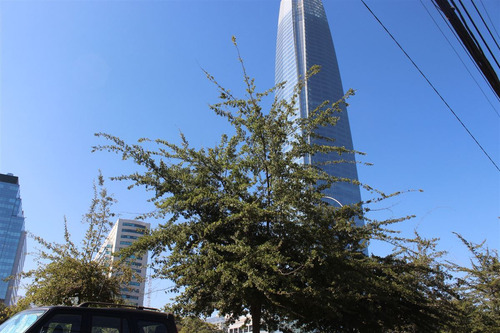 Gran Oportunidad Depto. En Venta Pedro De Valdivia Norte