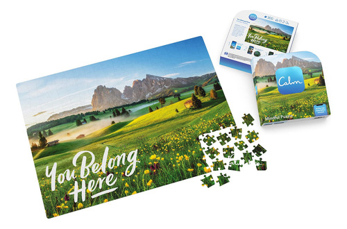 Spin Master Games 300-piece Calm Puzzle Para Relajación, Ali