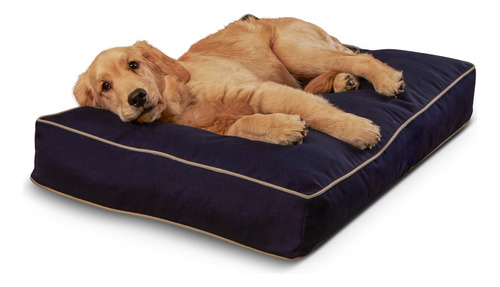 Casey - Cama Rectangular Para Perros (36 X 24 Pulgadas) Par.