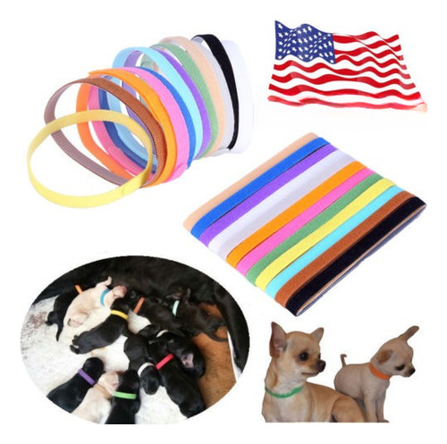 12pcs Mascota Perro Gato Id Collares Bandas Parto Cachorro G