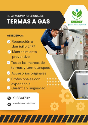 Reparacion De Termas A Gas A Domicilio Atendemos Emergencias