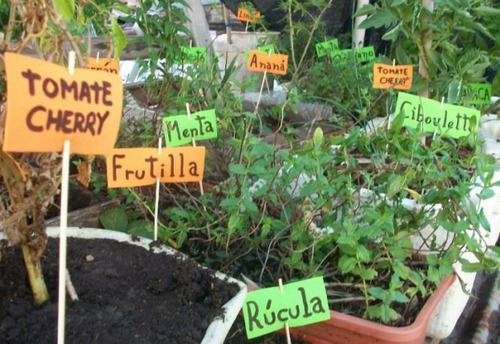 20 Paquetes De Semillas Para Huerta