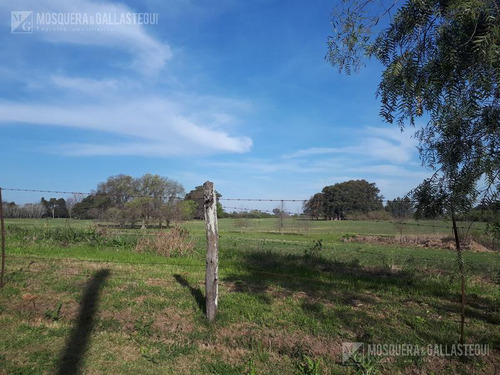 Campo - Villa Rosa