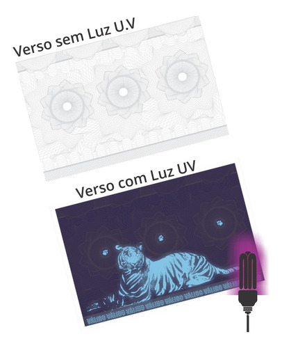 Ingressos Papel Moeda 7x5cm C/holografia S/canhoto 15.000un