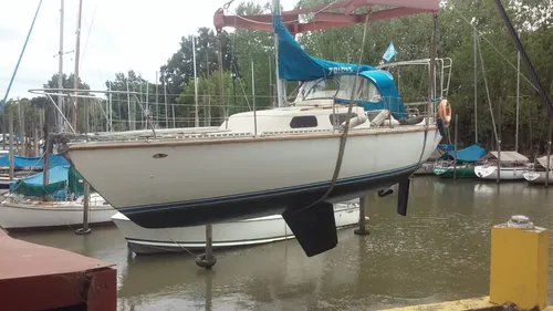 Velero Tritón 28- Muy Bueno!