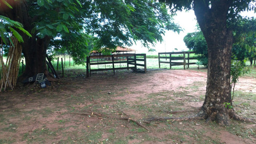 Chácara, Sitío De 3 Alqueires Na Cidade De Nova Castilho Sp, Regiao De São Jose Do Rio Preto E Araçatuba Sp