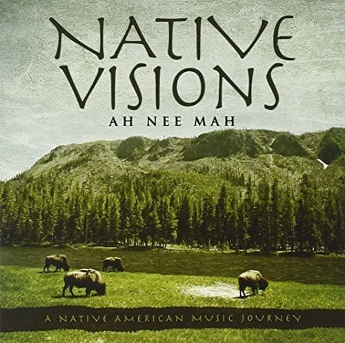 Cd: Native Visions: A Native American Music Journey