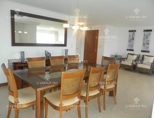 Apartamento En Brava Frente Al Mar, Alquiler