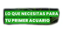 Comprar Kit Para Peceras Hasta 50 Litros Combo Accesorios