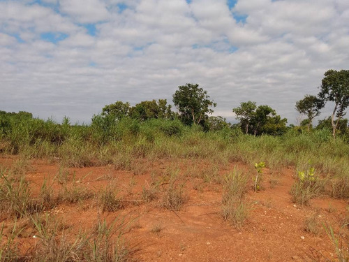 Imagem 5 de 8 de Terreno Em Frente Ao Florais Da Mata! - 23294