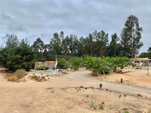 Parcela En Venta En Lomas De Mantagua/quintero