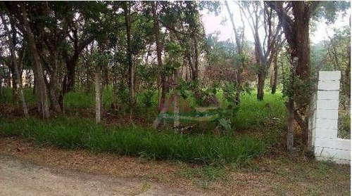 Imagem 2 de 5 de Terreno À Venda, 2500 M² Por R$ 250.000,00 - Una - Taubaté/sp - Te0734