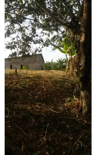 Venta De Lote Calarca