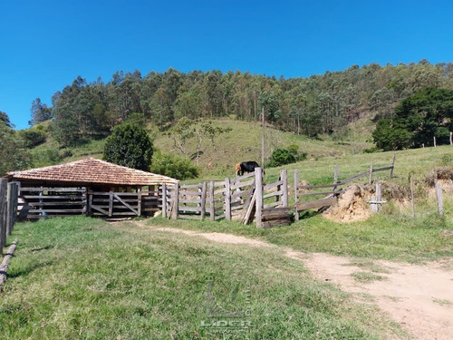 Fazenda 43 Hectares Joanópolis Sp - Fz0007-1