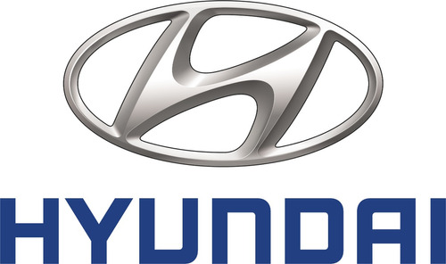 Platina Moldura Parachoques Delantero Getz Hyundai Derecha