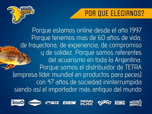 Imagen 6 de 7 de Rascador Para Gatos Kong Naturals Cat Scratcher Incline
