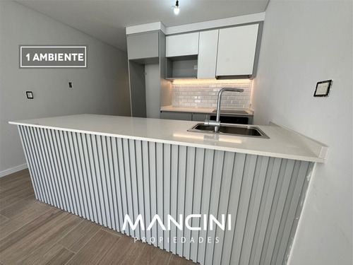 Imagen 3 de 11 de 1 Ambiente (apto Profesional) A Estrenar