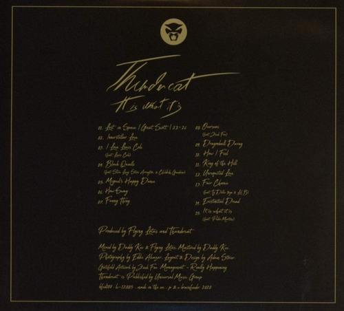 Thundercat It Is What It Is Cd Digipak