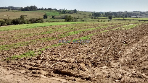 Imagem 4 de 4 de Área À Venda Em Santa Cruz - Ar237726