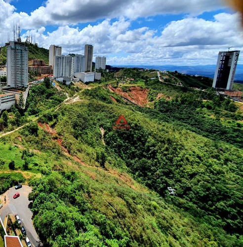 Imagem 13 de 13 de Apartamento 2 Quartos No Vila Da Serra. - 2047
